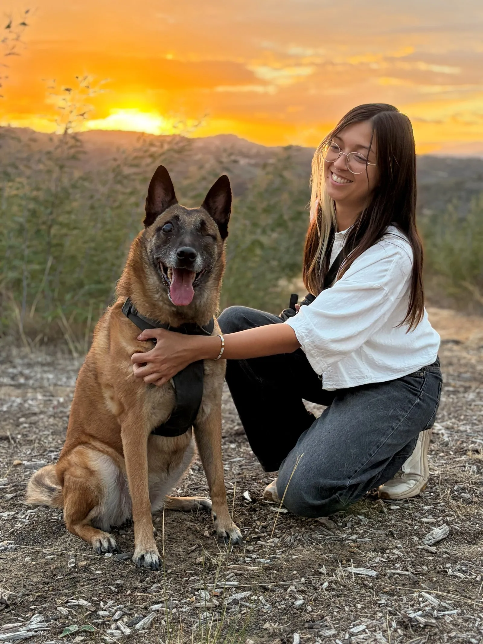goodjoy et un berger malinois au coucher du soleil